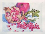 still life, pomegranate, fruit, light, original watercolor painting, gabetta