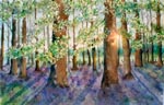 landscape, woods, forest, bluebells, sunrise, original watercolor painting, gabetta