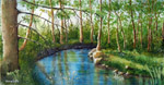 landscape, woods, forest, pond, original watercolor painting, gabetta